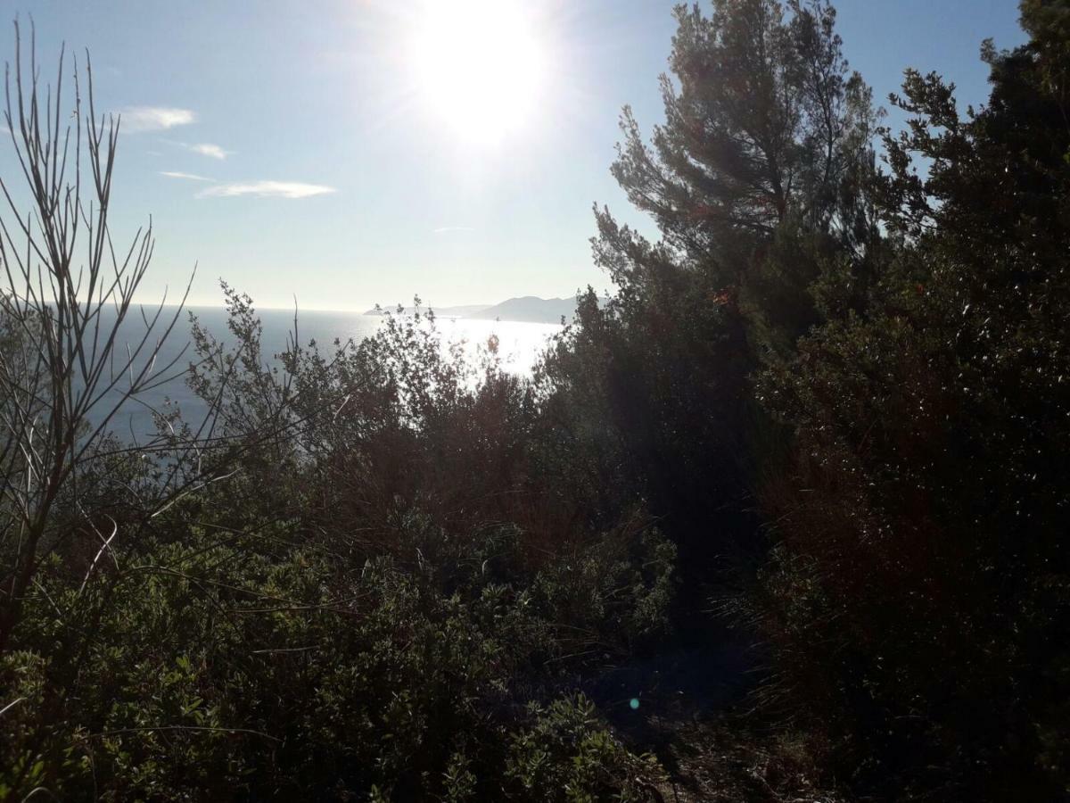 Apartment Aurora & Nicole Ideal Per Biker Con Terazza Vista Mare Parcheggio E Wi-Fi Gratuiti П'єтра-Лігуре Екстер'єр фото